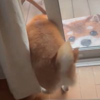 後ろ姿