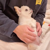 微笑ましい会話でした