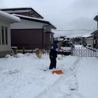 雪玉を作ったり…