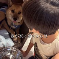 おふとん君の変化5