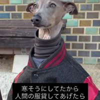 ボタンを留めてみると…