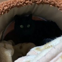 2匹入れるよう奥に詰める姿にキュン♡