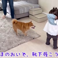 「それちょうだい！！」