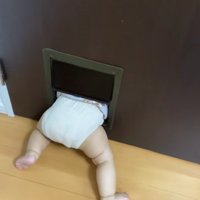 深夜に聞こえた叫び声