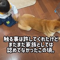 少しずつ縮まる距離