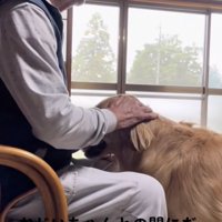 優しいナデナデ