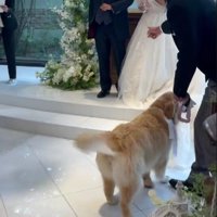 「リングを届けに来たよ！！」