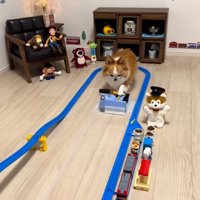 ボタンを押すラピくん