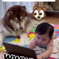 「そのクマ、大丈夫なやつ…？」