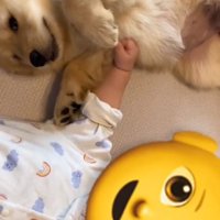 寝そべるふたり