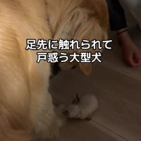 「えっ？」