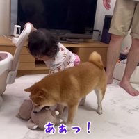 また取られちゃった