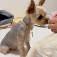 ハーバーくんはおかわり催促！