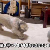 クレーマーのように催促（笑）