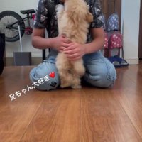 ピョンピョンと飛び跳ねます