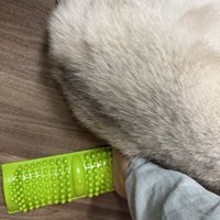 拷問