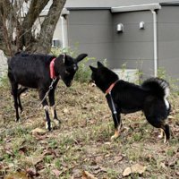 仲良くなれる？