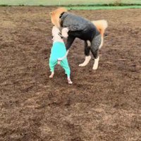 泥よけとして効果抜群…！！