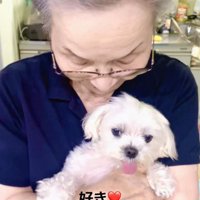 おばあちゃんの腕の中でくつろぐ犬