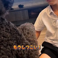 犬を見てムッとした顔をする男の子