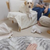 ママさんが呼んだら…