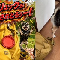 リュックを用意していたら…