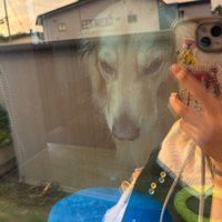 窓にも映るブチギレ顔（笑）