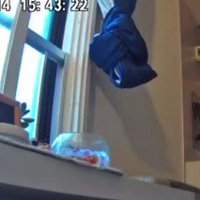 まさかの完全犯罪…！！