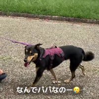 「ママがよかった…」