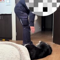 尻尾フリフリが止まらない…♪