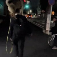 自転車とすれ違う人と犬