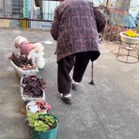 散歩に出た小梅ちゃん
