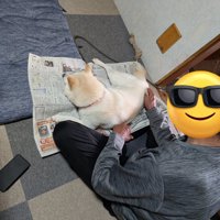 一コマ