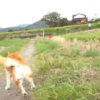 「もう待てない！」