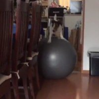 移動することも出来る！