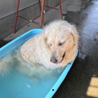 「いや、もうちょっとだけ…！」