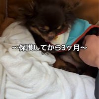 テープくんの変化