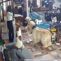 「オスワリ！」