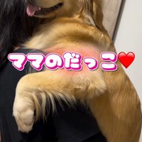 女性に抱っこされる大型犬