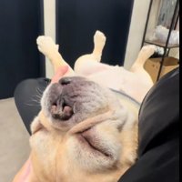 まさかの爆睡！！