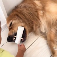 ラビーくんに芯をあげる男の子2