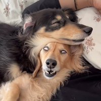 面白くて愛おしい寝姿…♡