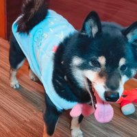 嬉しそうにニコニコ♡