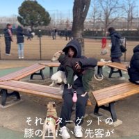 スキップ君の割り込みの手口9