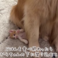 おからちゃんが大好き