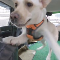 車の中で大興奮！