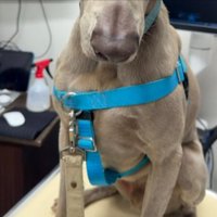 動物病院