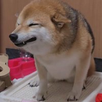 大好きな人がお家にきてニコ～ッ♡