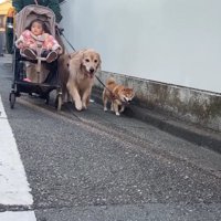 仲良しな3兄妹