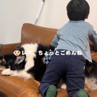 「ちょっとごめんね」